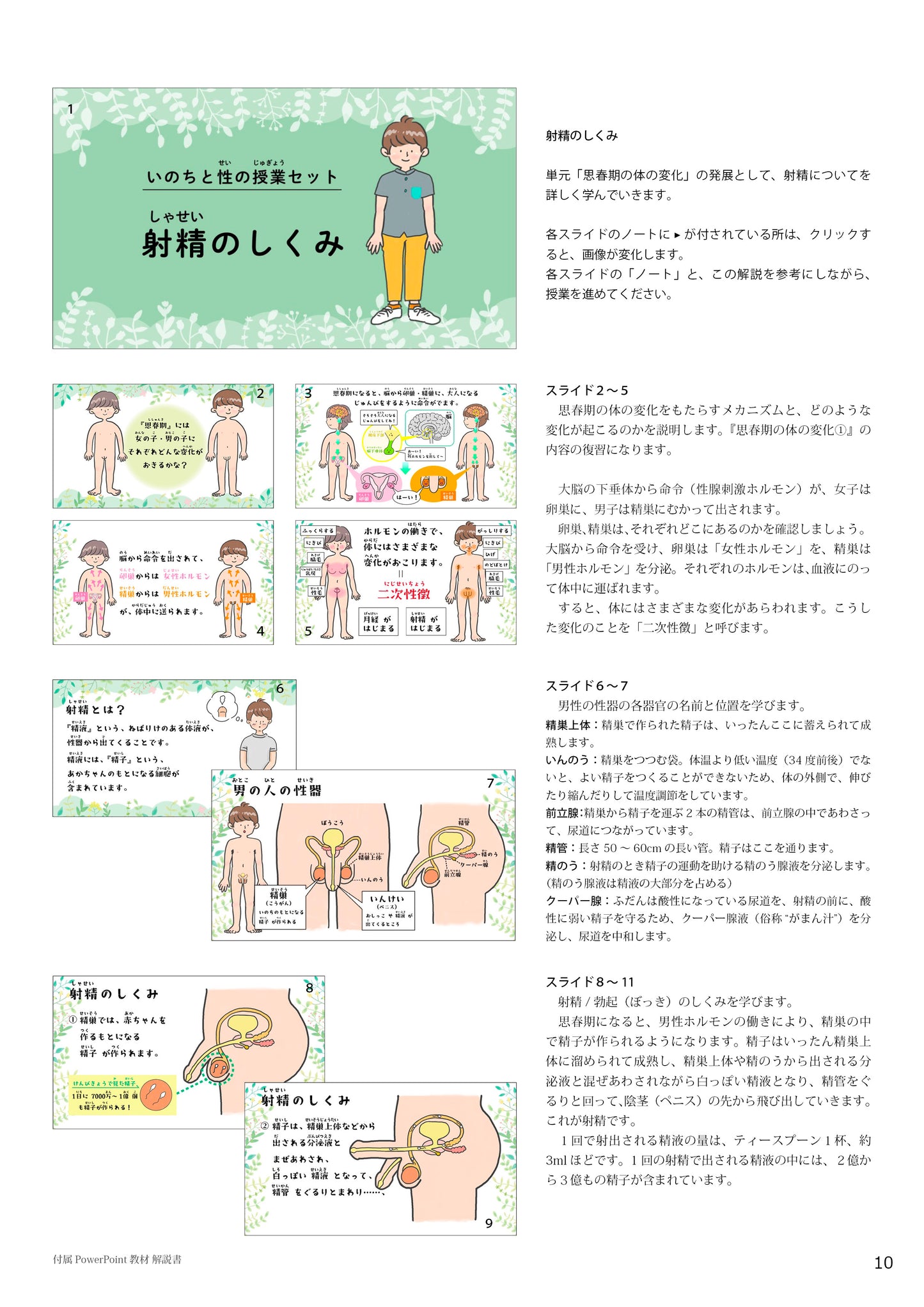 デジタル版 いのちと性の授業セット ダウンロード版