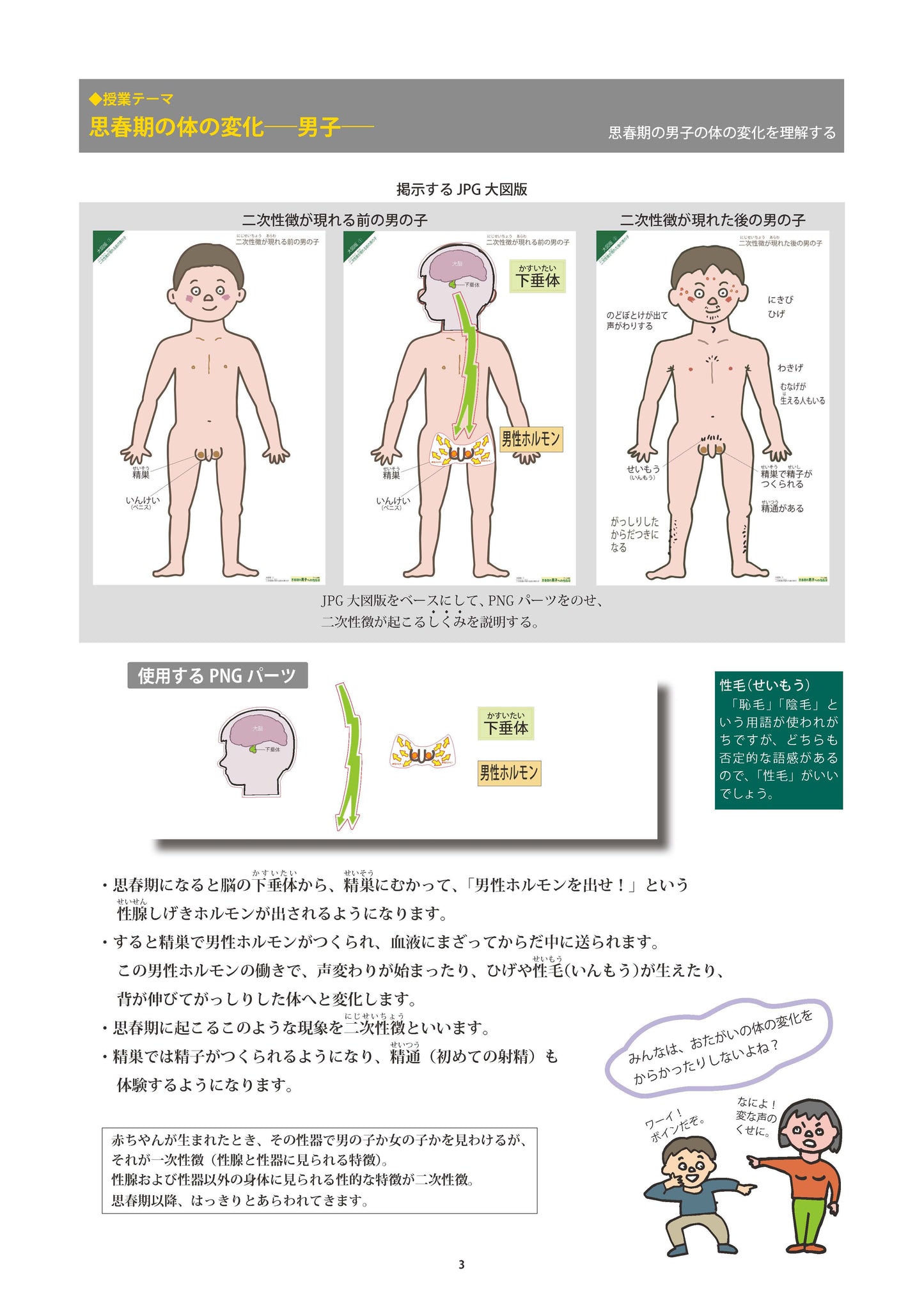 10分で教える思春期の体の変化 性教育デジタル素材集 ダウンロード版