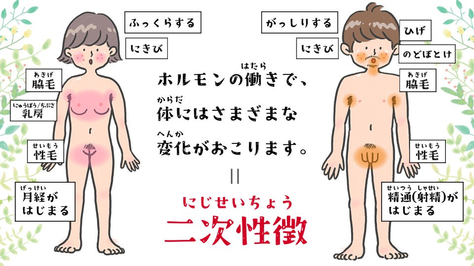 デジタル版 いのちと性の授業セット ダウンロード版