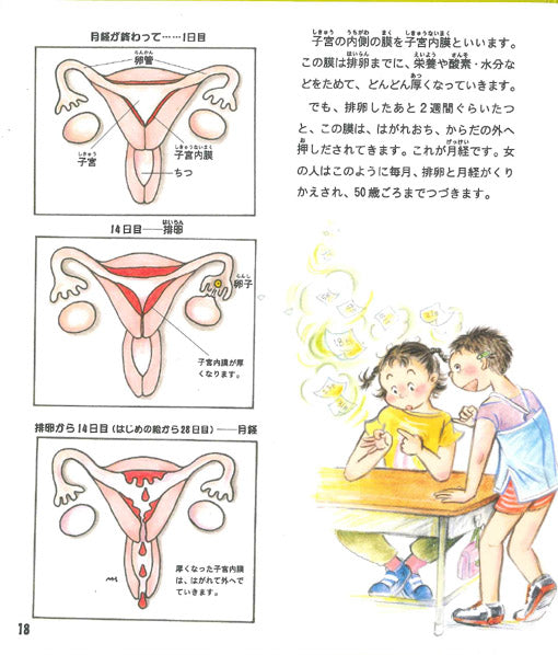 女の子のからだの絵本 こんにちは!からだとこころシリーズ 1 巻
