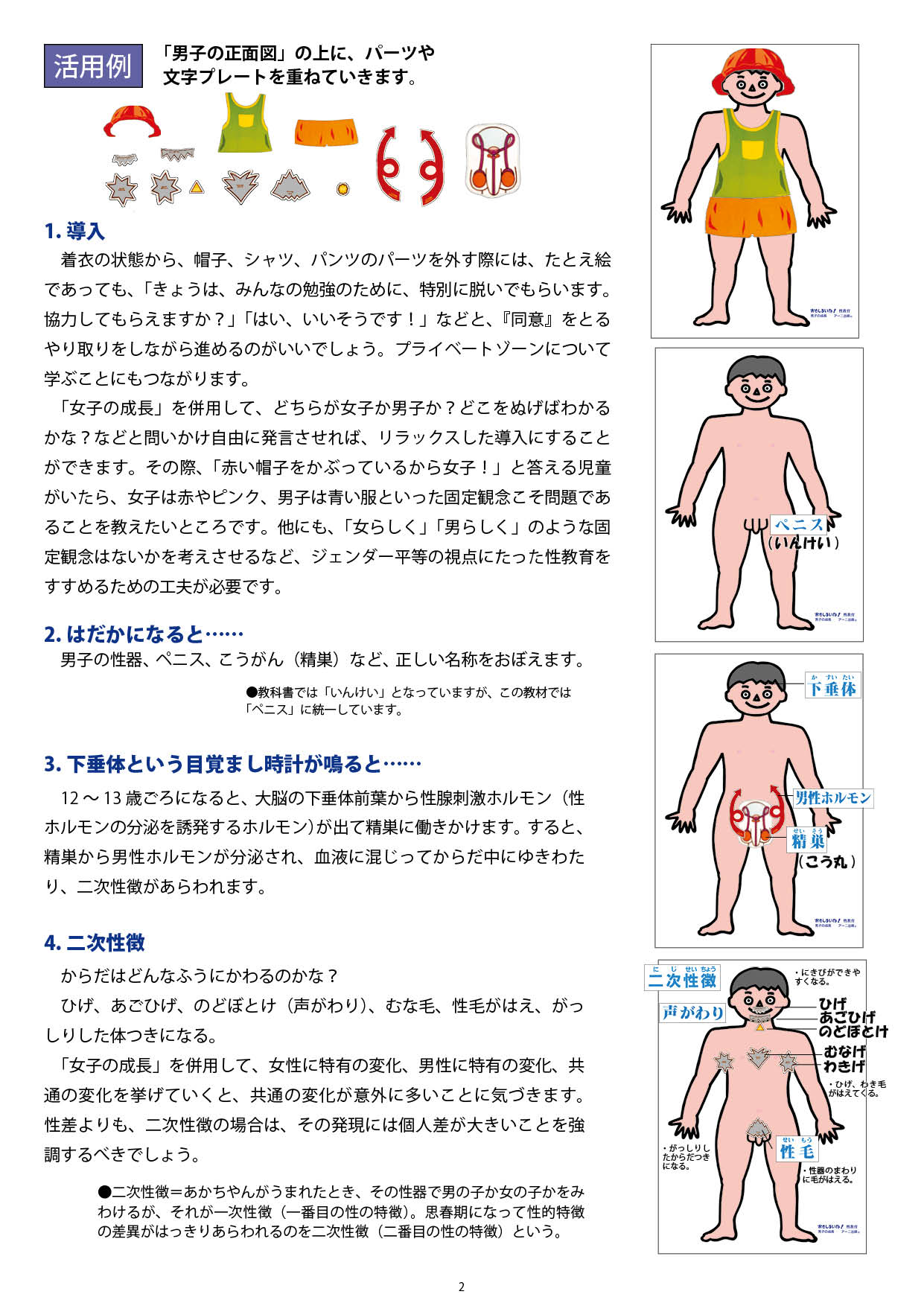 「男子の成長」―思春期の体の変化― ダウンロード版