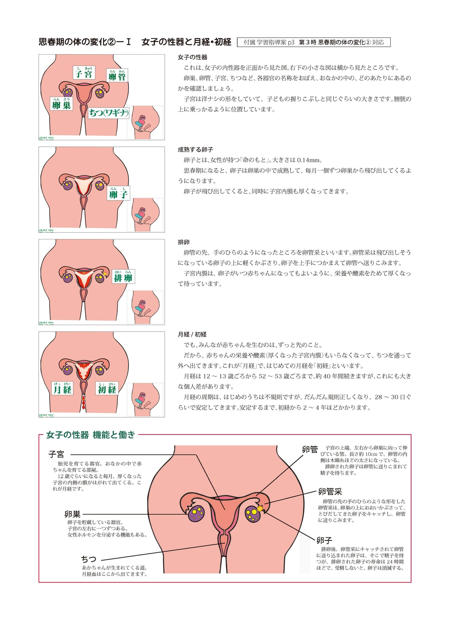 『思春期の体の変化』授業セット 性教育デジタル素材集 CD-ROM