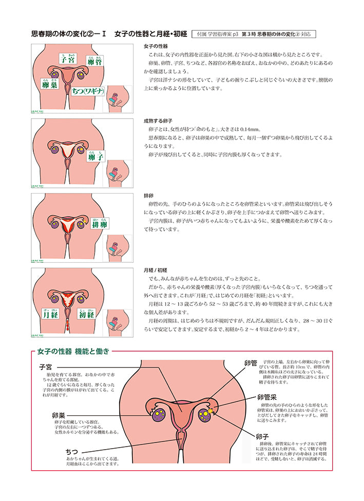 『思春期の体の変化』授業セット