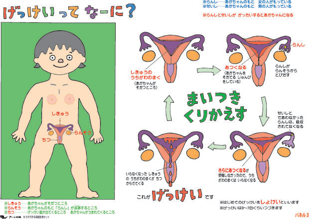 10分でできる初経教育セット