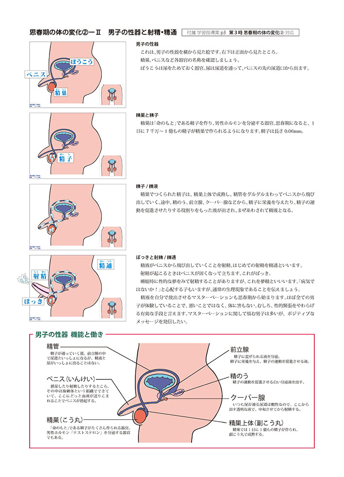 『思春期の体の変化』授業セット