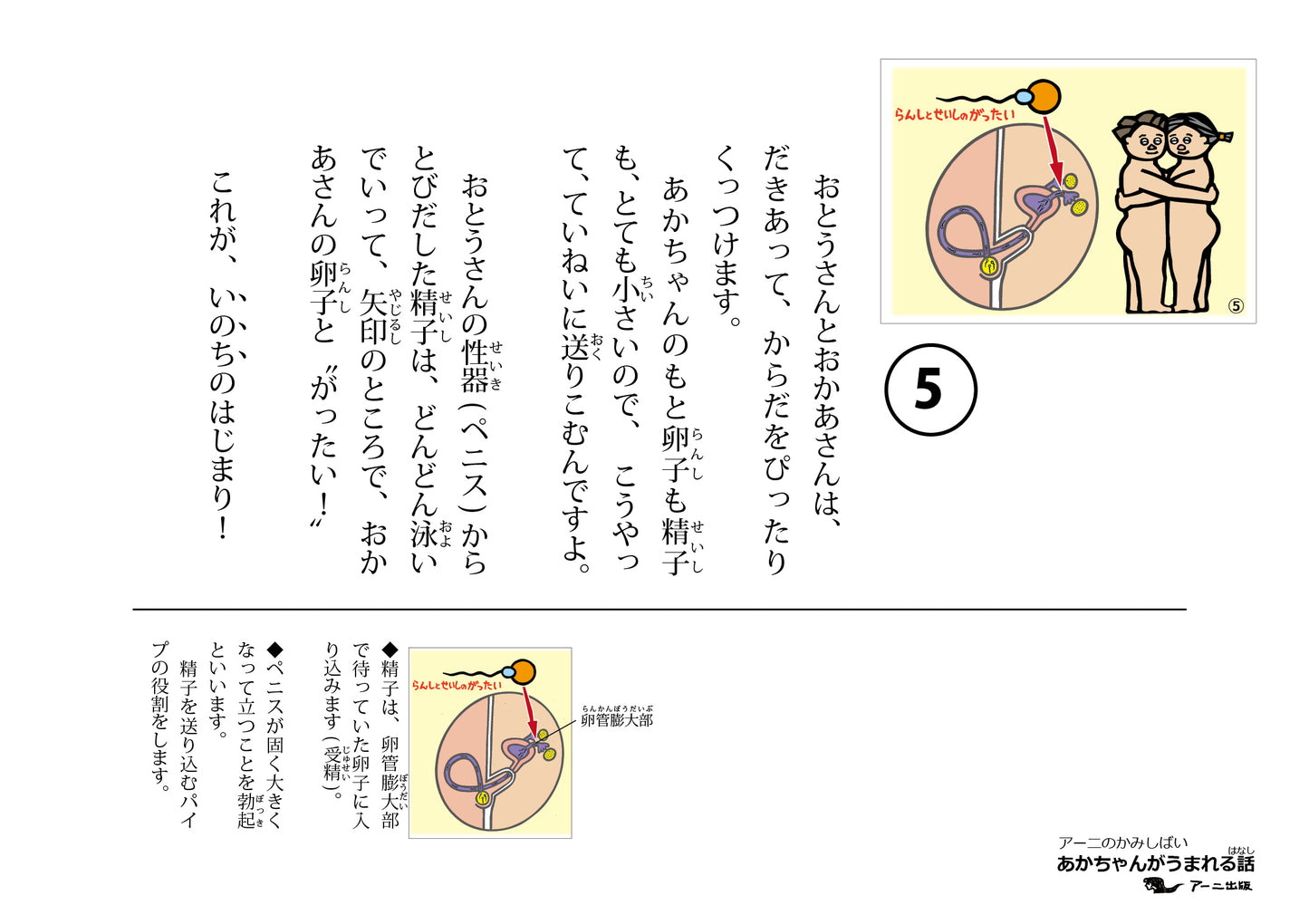 あかちゃんがうまれる話