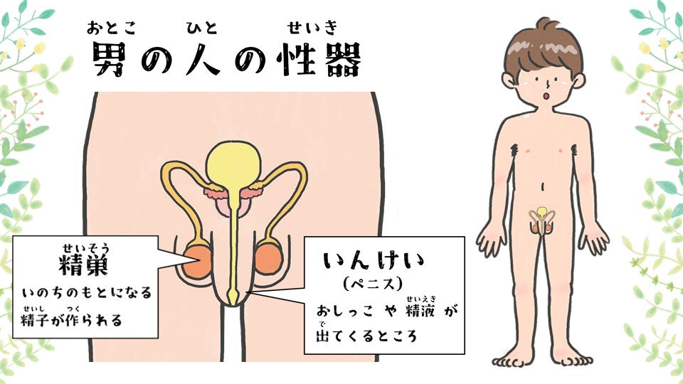 デジタル版 いのちと性の授業セット ダウンロード版