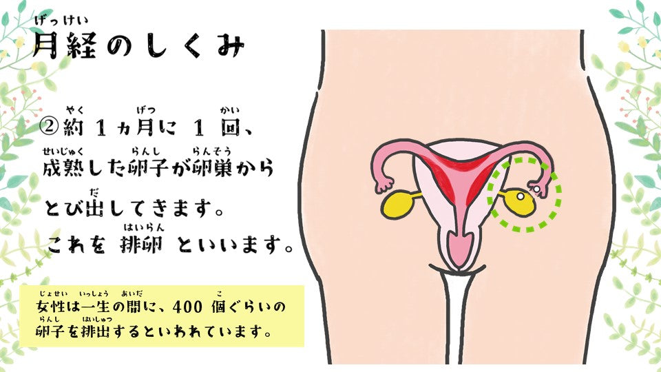 デジタル版 いのちと性の授業セット ダウンロード版