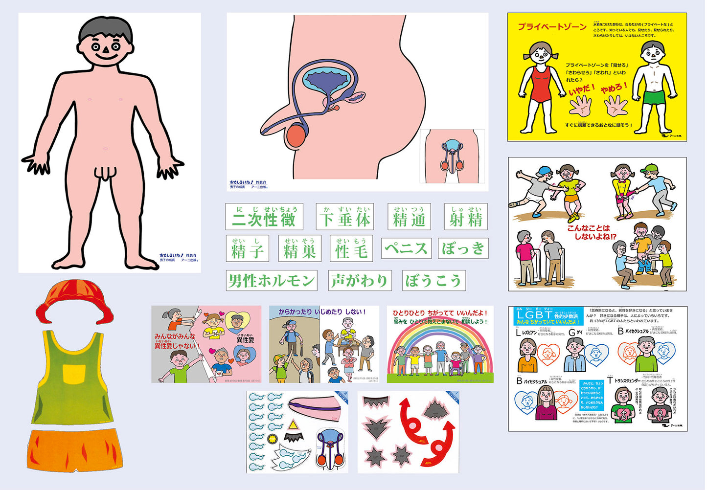 「男子の成長」―思春期の体の変化― ダウンロード版