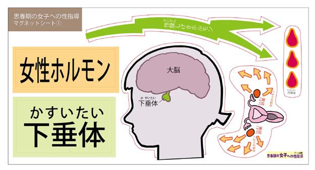 新版 思春期の女子への性指導