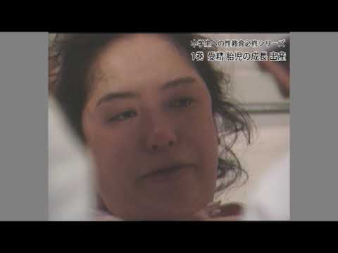 受精 胎児の成長 出産 – Ahni Publishing House